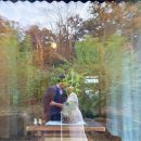 한옥규희 | 대전근교 논산 촌캉스 하기 좋은 독채펜션 "한옥규희" (에어비앤비)