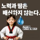 구리태권도장 이미지