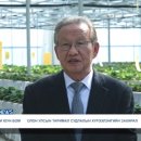 씨이에스 이미지