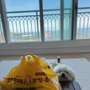 원할머니보쌈족발포항두호