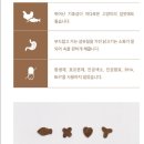 델리캣