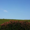 이호해변 이미지