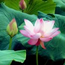 (주)서림개발 이미지