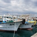 하모리-43 이미지