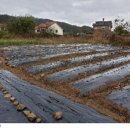 곡성-245 네이버블로그