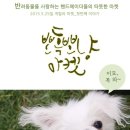 개고양이마켓 네이버블로그