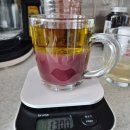 호수한의원 | 이든한의원 8체질 진단 간해독 포기 후기 +부작용