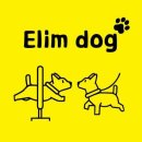 Elim Dog (엘림독) | 강원도 화천군 엘림독, 위치, 영업시간, 리뷰