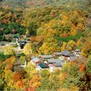 하동 Daum카페