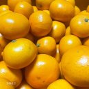 안당농장 이미지