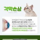백현 동물병원 이미지