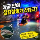 보트장화장실 | 충주 아이와 가볼 만한 곳, 활옥동굴 투명보트 직접 타본 후기
