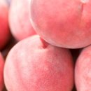 나비솔동원한의원 이미지