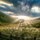 07.시청사거리(행정) 이미지