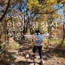 박해석 | 영남알프스 천황산 재약산 밀양 얼음골 등산로 개척으로 혼난 썰