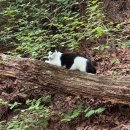 마당바위쉼터식당 | [서울] 도봉산 신선대 등산코스 후기🏞️ 마당바위 코스, 초보도 생각보다 무난했다
