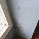 이편한세상1차 | 🏠 양산 동면 이편한세상1차 도배시공 후기 – 개나리벽지 &amp; 디아망 회벽 크림 화이트