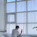 우드라인 이미지