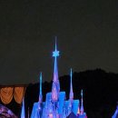 스카이라움 승무원학원 이미지