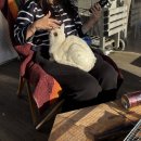 영희의 정원 | [가평] 겨울 글램핑은 이런맛이지.. 숲속의 정원 웨스턴 마차 후기(불멍, 바베큐)🔥