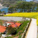 늑도낚시편의점 이미지