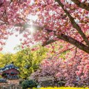 (기획투어)체험순천 이미지