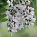 춤추는부동산중개 이미지