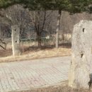 (유)하마 Daum카페