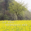 낙동강레일파크 주차장 이미지