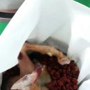 도장 흑염소 Daum카페