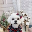 정창수외과동물병원 이미지