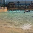 롯데워터파크길R | 장유 롯데워터파크 로우시즌 아기랑 입장부터 퇴장까지 솔직 후기