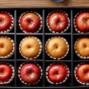 (주)알브이디 이미지