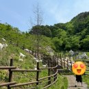 세이지우드 홍천산양목장 이미지