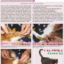 대우당약국 이미지