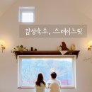 스테이느릿 이미지