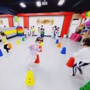 경희대신성태권도 이미지