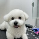 이승재동물병원 이미지