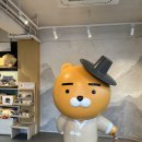 우산사 | 전주한옥마을에서 만난 귀염뽀짝 카카오프렌즈! 전주 한정 굿즈 사진맛집