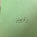 [쌍문역 술집] 신상 맛집 매향에서 보물주머니와 생맥주 먹고 온 후기｜쌍문역 이자카야 추천