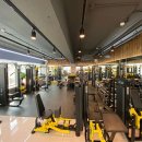 바디메카 이미지