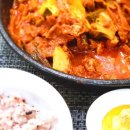 곰스패밀리 이미지