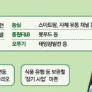 세운식품