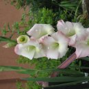 매봉산장 이미지