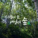 미라클그린 이미지