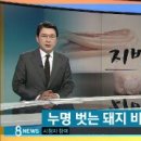 돈단지 - 장흥군 물레방앗간길 16 | 돈단지
