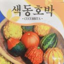 [식목일]????“<b>색동</b><b>호박</b>” 씨앗 심기????