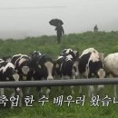 목장