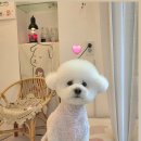 브리앙뜨몽 이미지