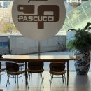 파스쿠찌 센트로서울점 | 서울역 카페 추천 파스쿠찌 센트로서울점 솔직 후기